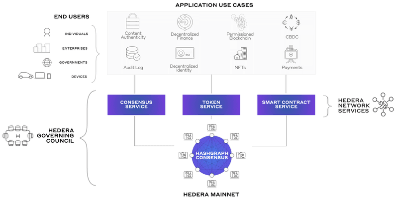 Hedera Network Defined & Explained