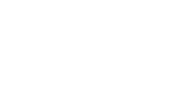Council Logo Dlap