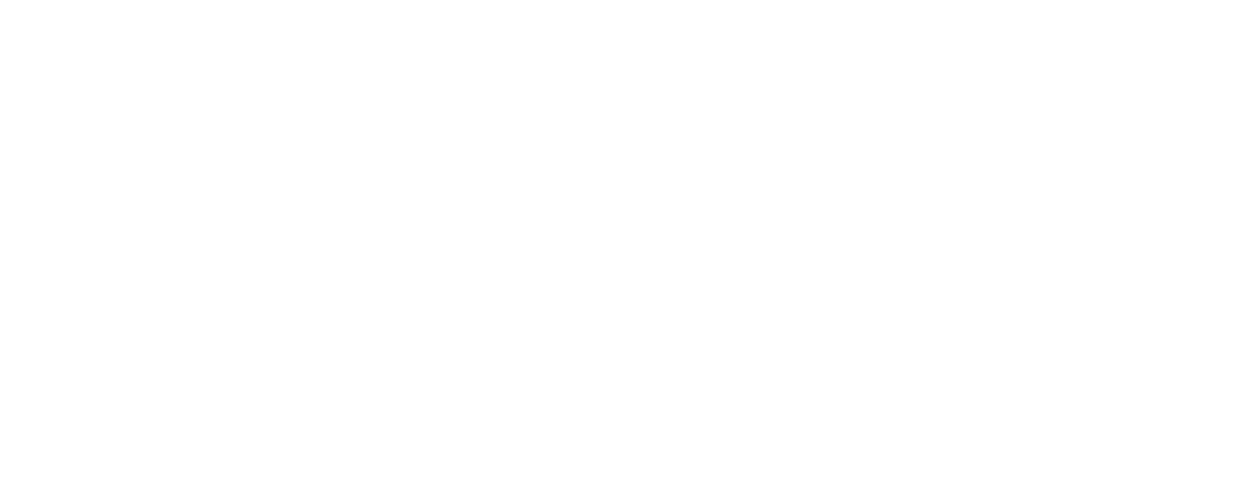 Ivy Wallet Horizontal