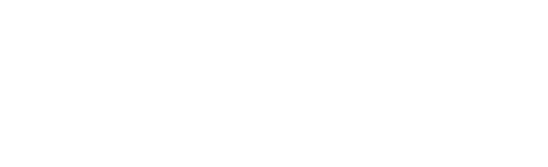 Chainlink Logo White