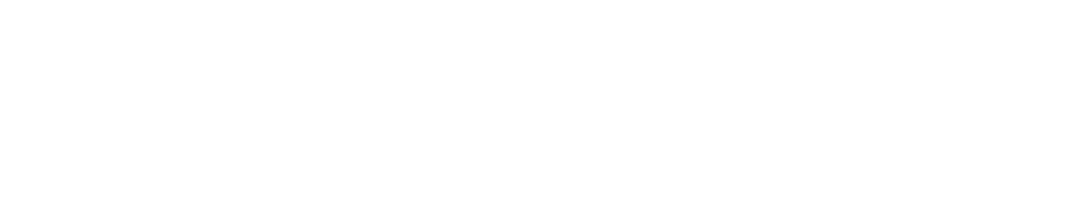 Envision blockchain logo