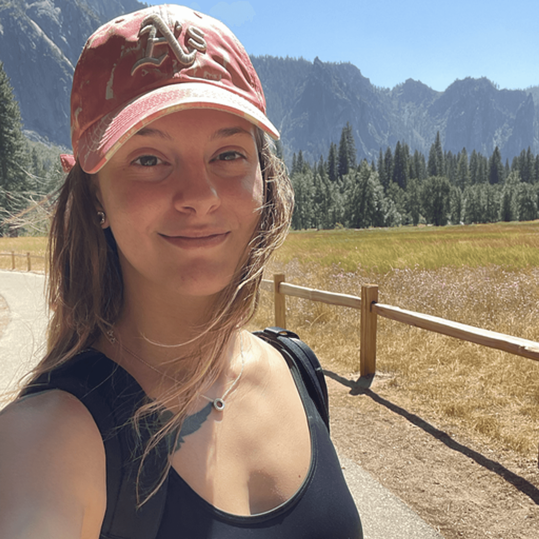 Introducing Block Streams: A Unified Data Stream Capturing… | Hedera